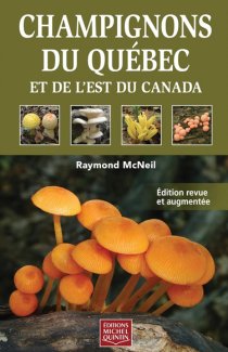 mycolaurentides.ca