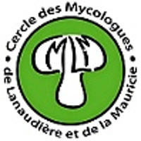 mycolaurentides.ca